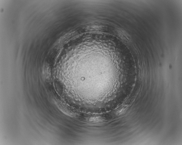 X0000054410173200508011331