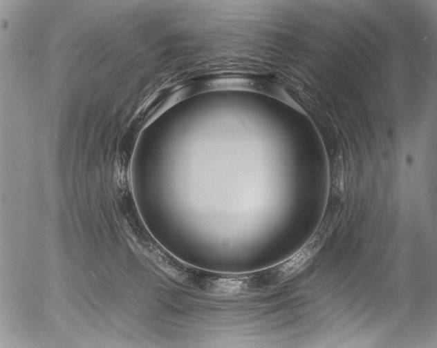 X0000054410176200508011331