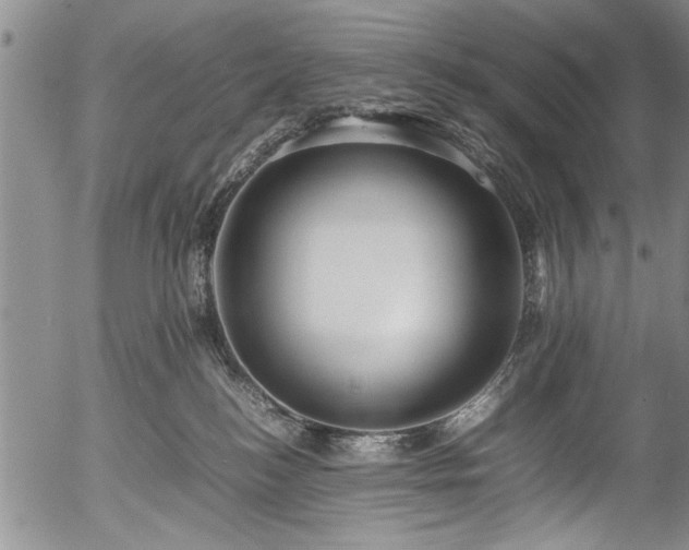X0000054410184200508011332