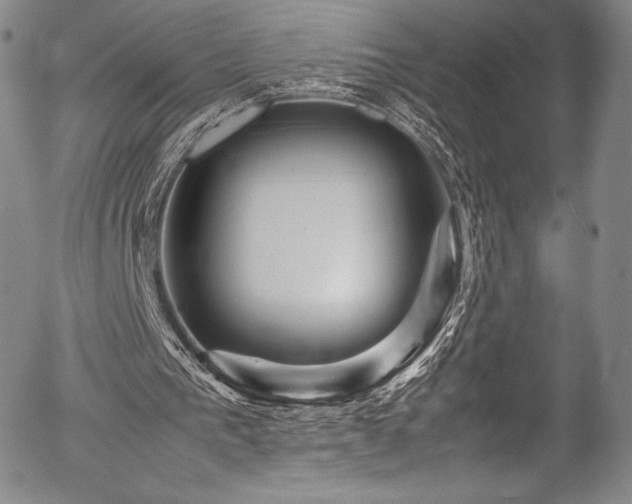 X0000054410193200508011331