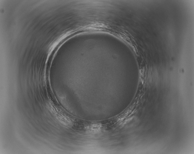X0000054410196200508011331