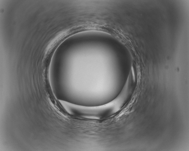X0000054410197200508011331