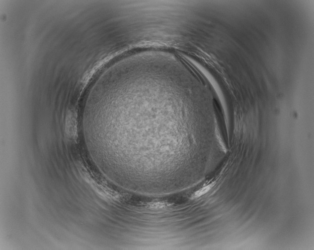 X0000054410204200508011331