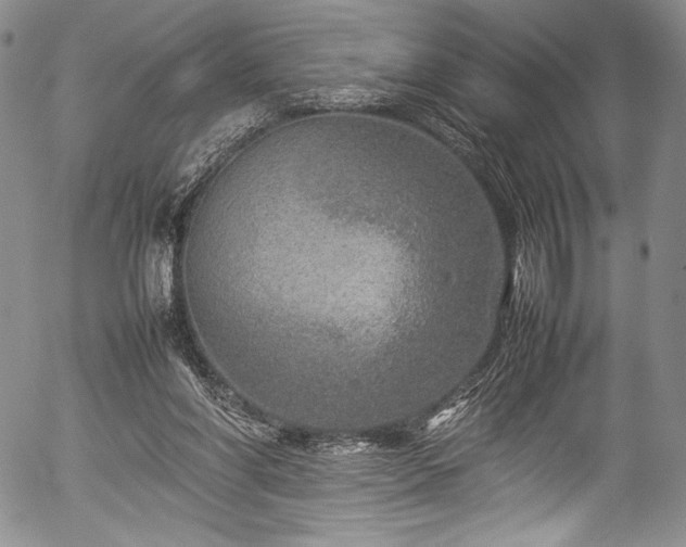 X0000054410206200508011331