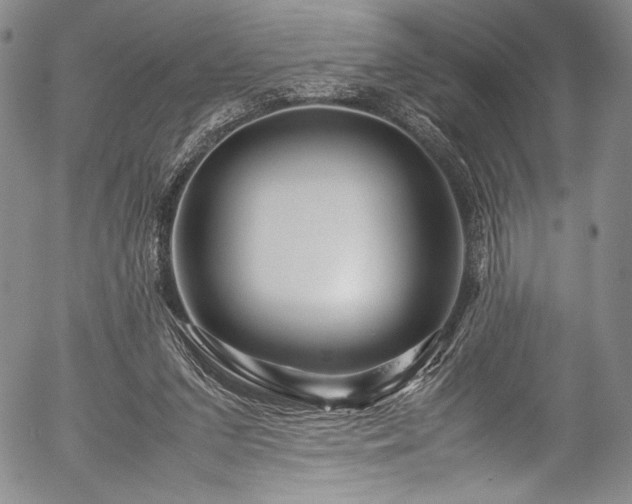 X0000054410207200508011331