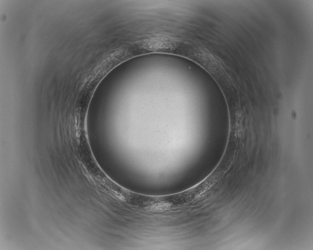 X0000054410210200508011331