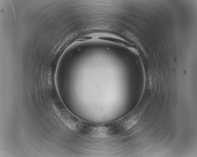 X0000054410212200508011331