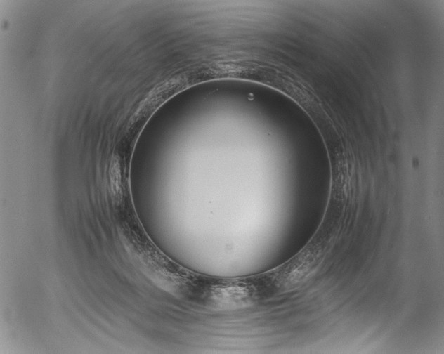 X0000054410220200508011330