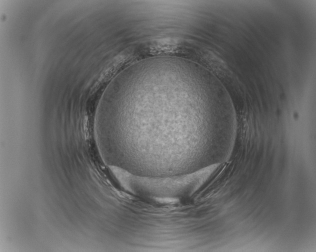 X0000054410224200508011330