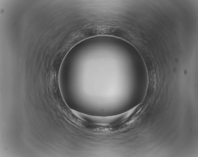 X0000054410225200508011330