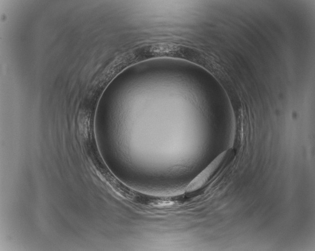 X0000054410227200508011330