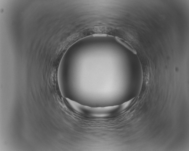 X0000054410233200508011330