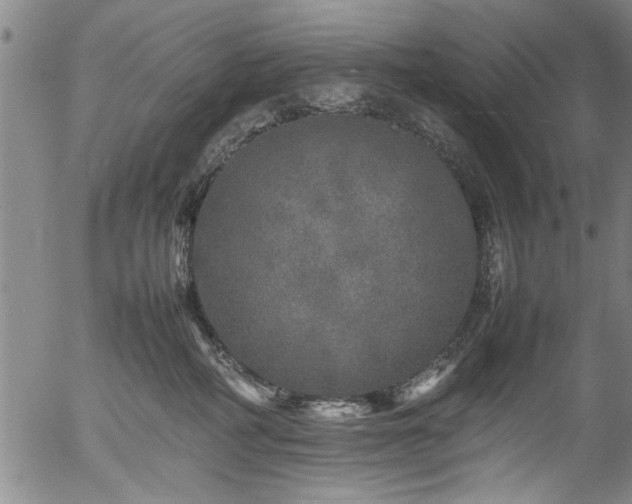 X0000054410234200508011330