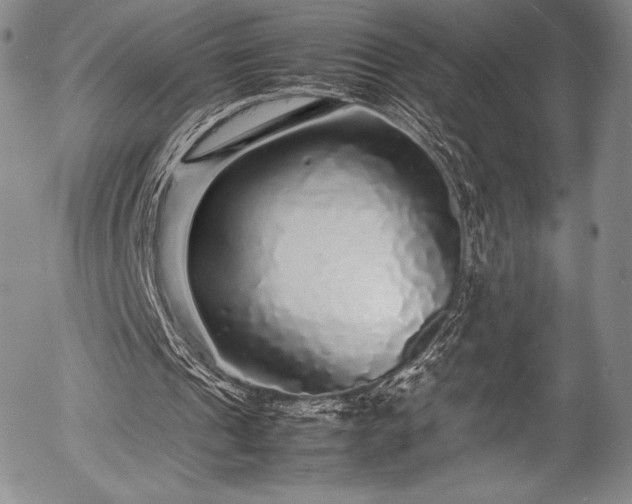 X0000054410241200508011329