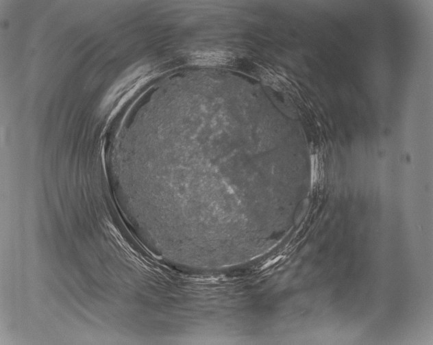 X0000054410243200508011329