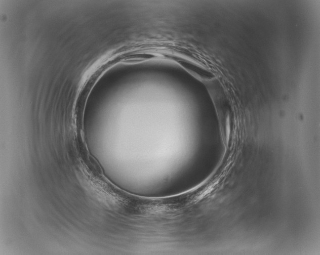 X0000054410246200508011329