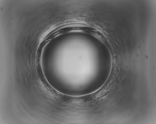 X0000054410248200508011329