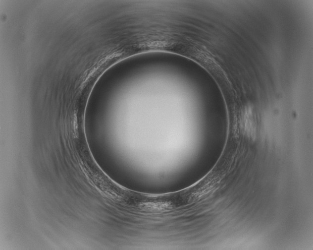 X0000054410251200508011329
