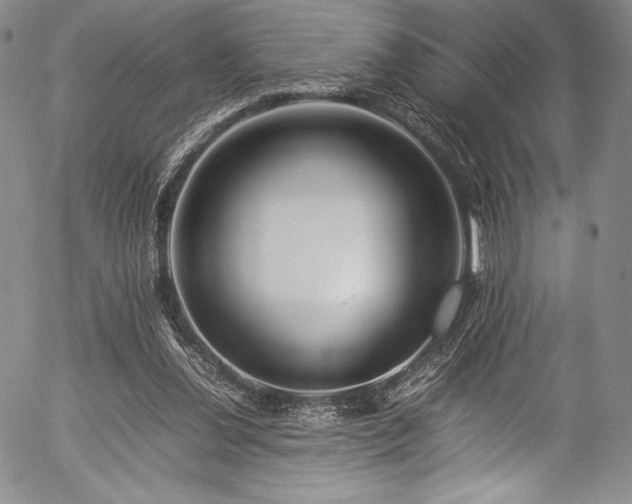 X0000054410252200508011329