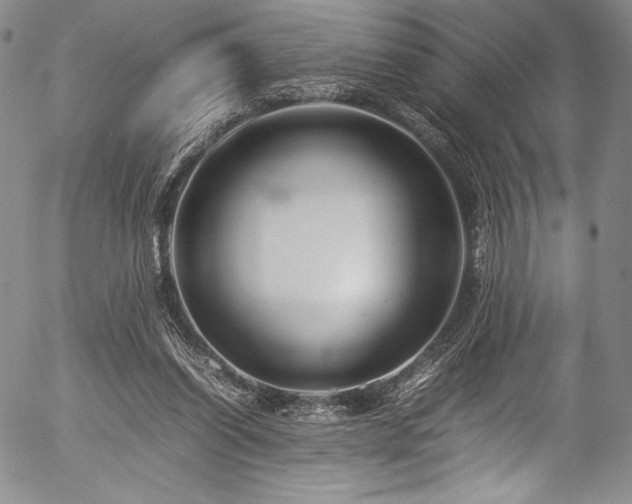 X0000054410254200508011329