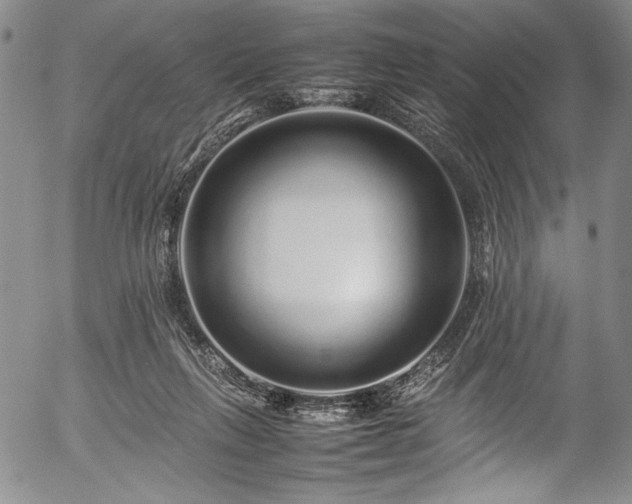 X0000054410263200508011330