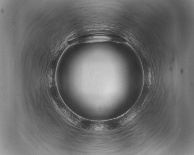X0000054410264200508011330
