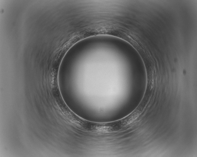 X0000054410268200508011330