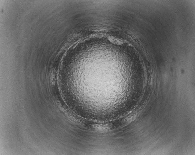 X0000054410273200508011330