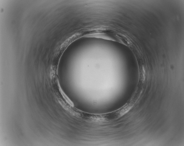 X0000054410284200508011330