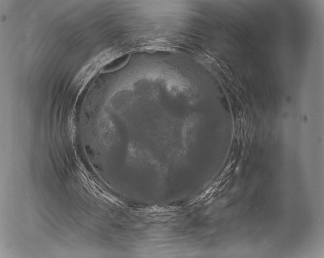 X0000054410290200508011329