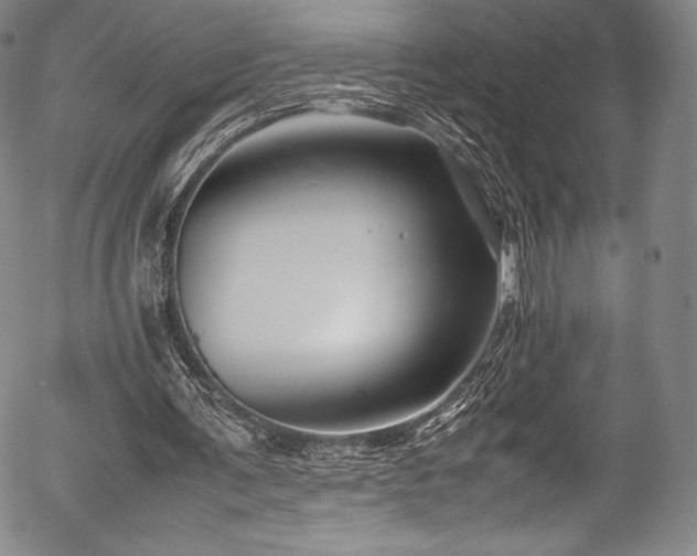 X0000054410291200508011329