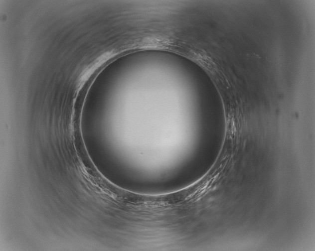 X0000054410292200508011329