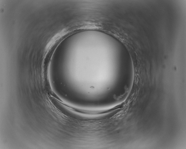X0000054410296200508011329