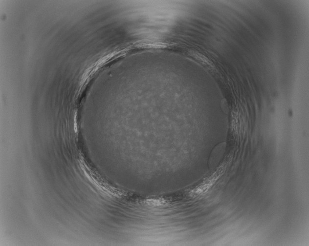 X0000054410302200508011329