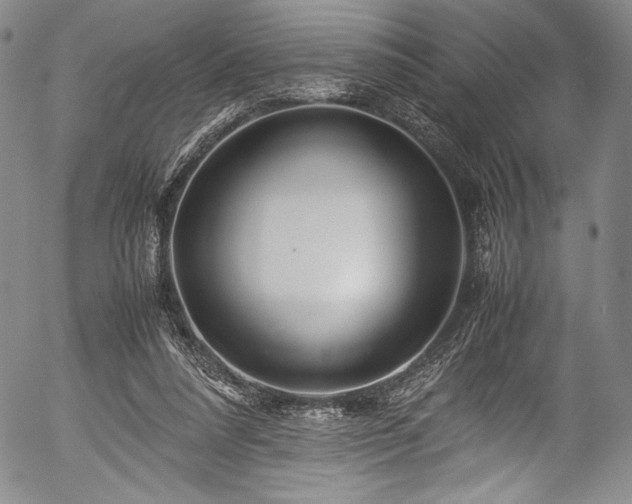 X0000054410304200508011329
