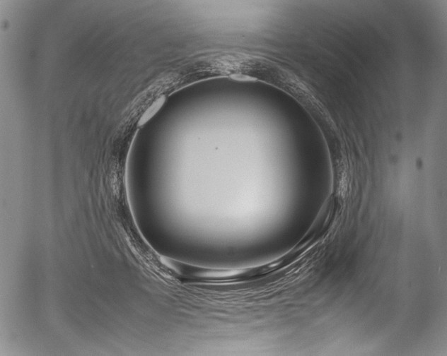 X0000054410313200508011329