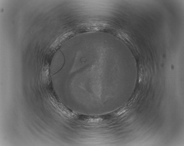 X0000054410314200508011329