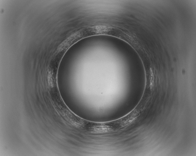 X0000054410316200508011329