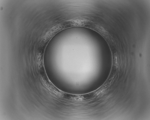 X0000054410318200508011329