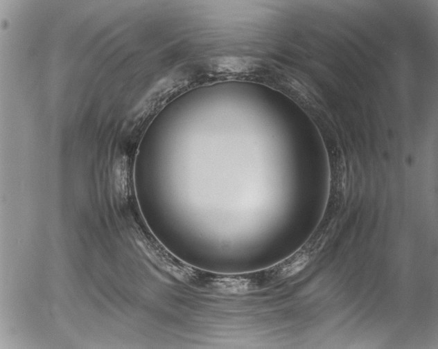 X0000054410328200508011329