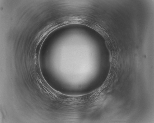 X0000054410338200508011328