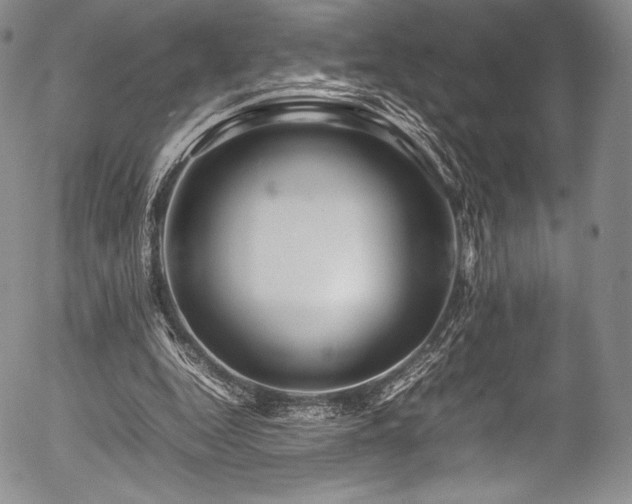 X0000054410344200508011328