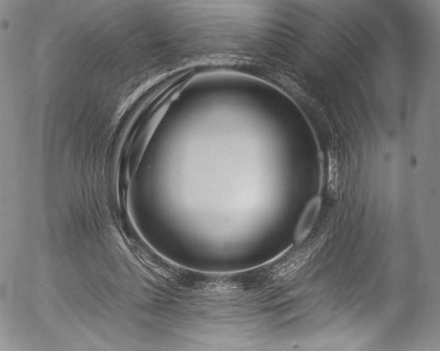 X0000054410348200508011328