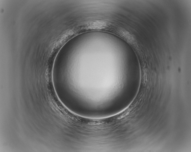 X0000054410354200508011328