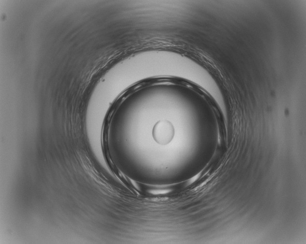 X0000054410362200508011328