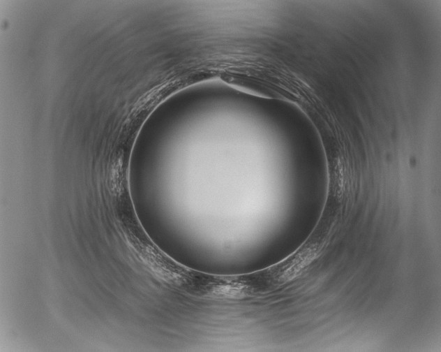 X0000054410364200508011328