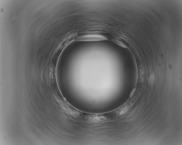 X0000054410379200508011328