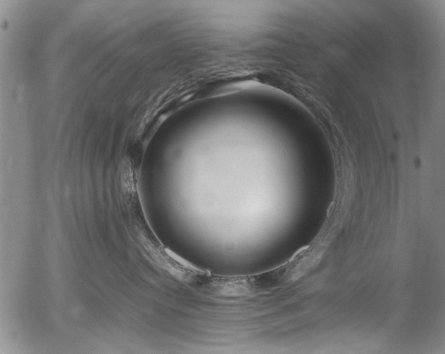 X0000054410384200508011328