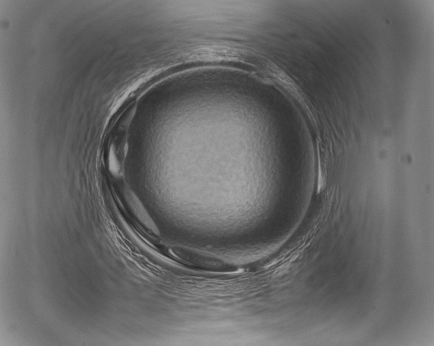 X0000054410387200508011328