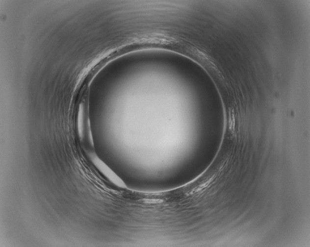 X0000054410388200508011328